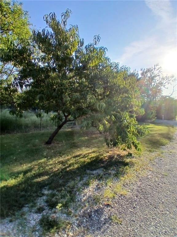 15625 Washington School Road — photo 9