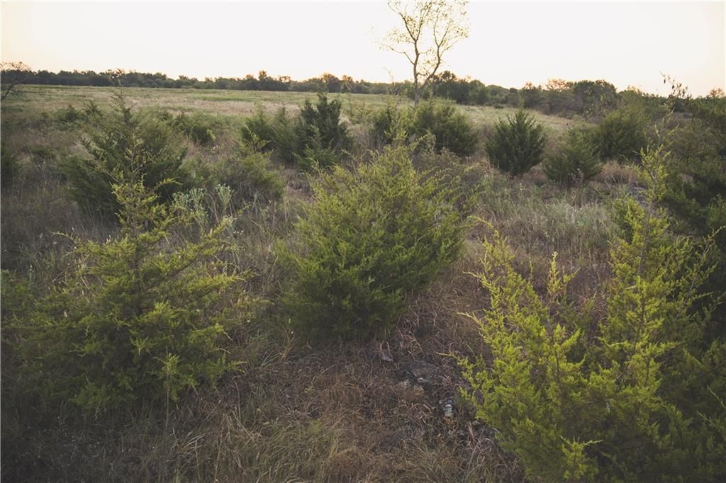 000 Eagle Road — photo 10