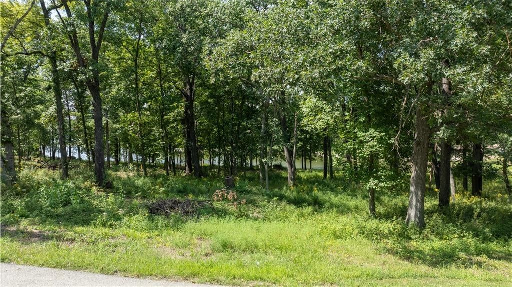 1040 S Fork Lane — photo 5
