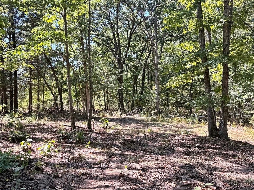 000 SE 500 Road — photo 9