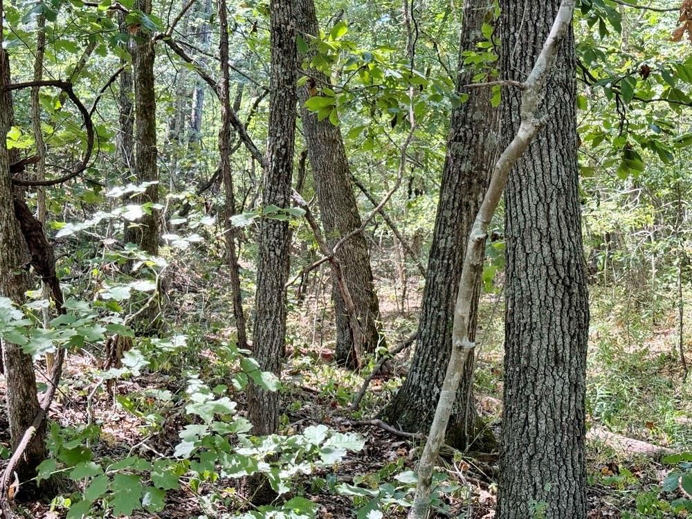 000 SE 500 Road — photo 13