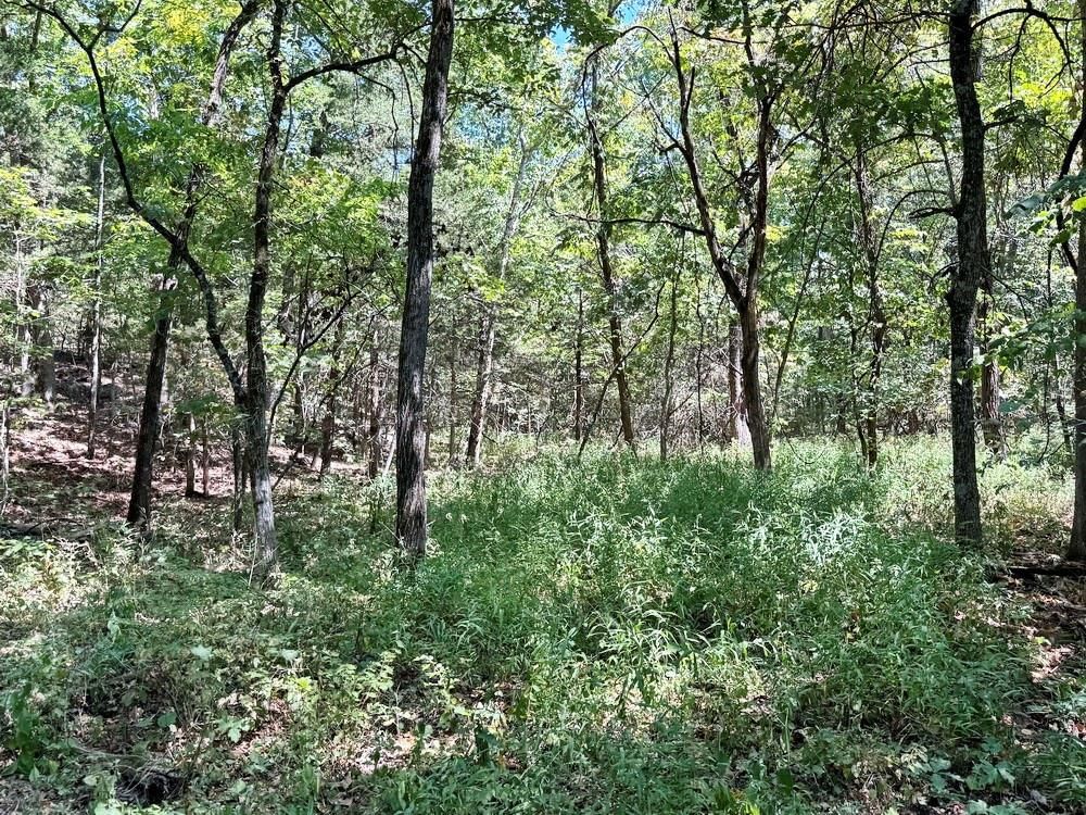 000 SE 500 Road — photo 15