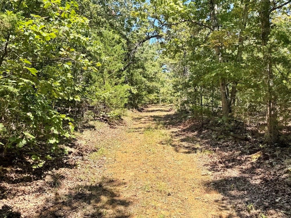 000 SE 500 Road — photo 16