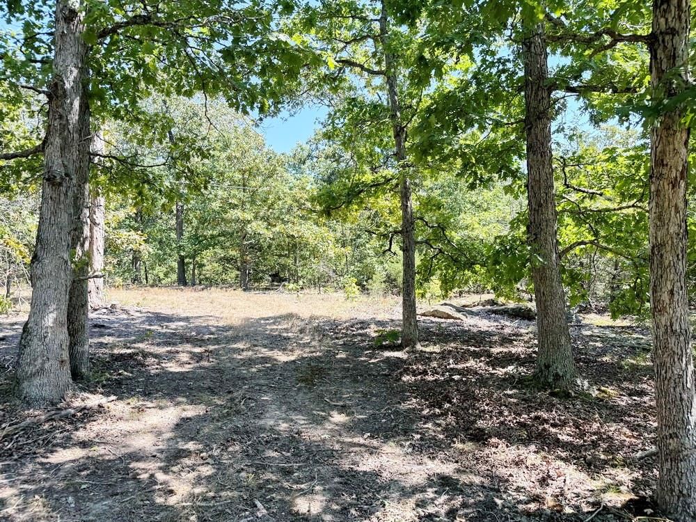 000 SE 500 Road — photo 18