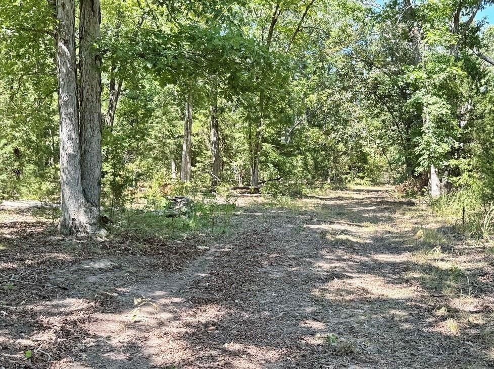 000 SE 500 Road — photo 21