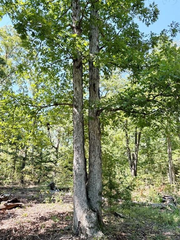 000 SE 500 Road — photo 22