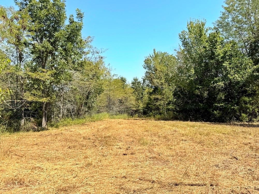 000 SE 500 Road — photo 24