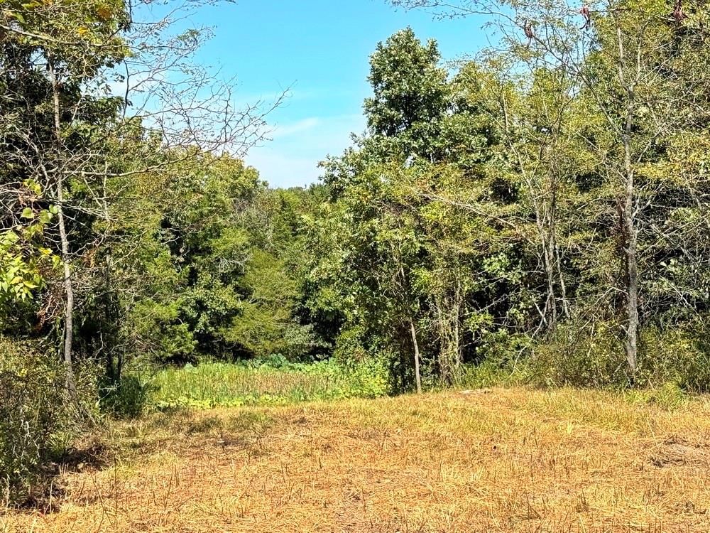 000 SE 500 Road — photo 25