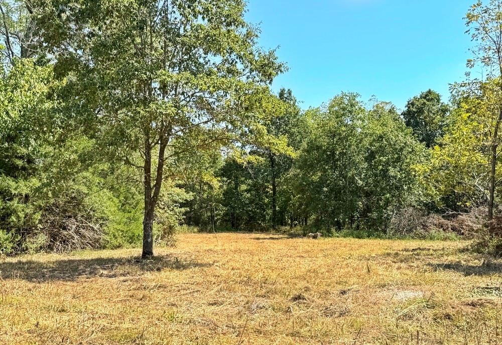 000 SE 500 Road — photo 26