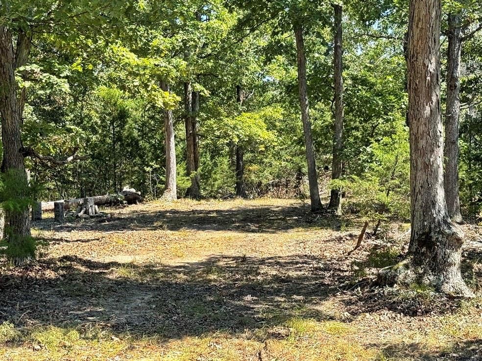 000 SE 500 Road — photo 32