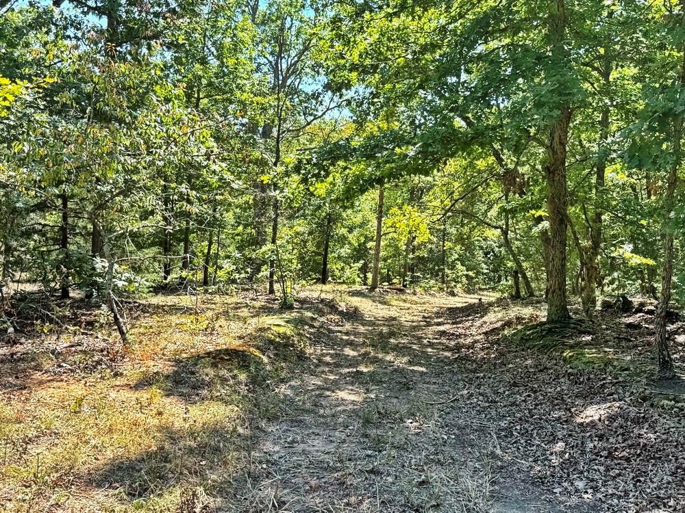 000 SE 500 Road — photo 33