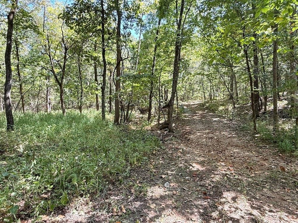 000 SE 500 Road — photo 35