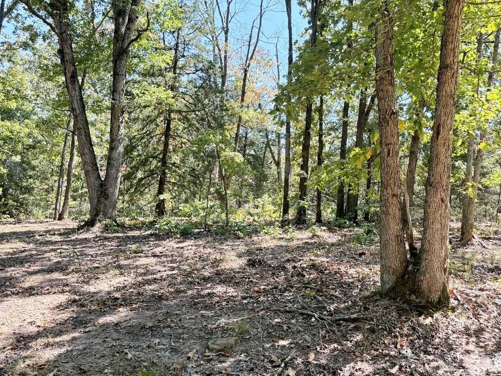 000 SE 500 Road — photo 37