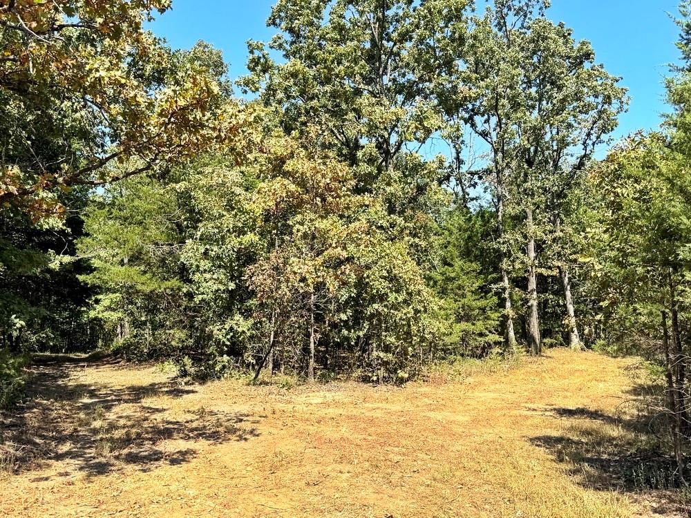 000 SE 500 Road — photo 38