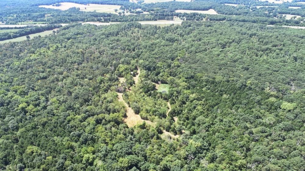 000 SE 500 Road — photo 39