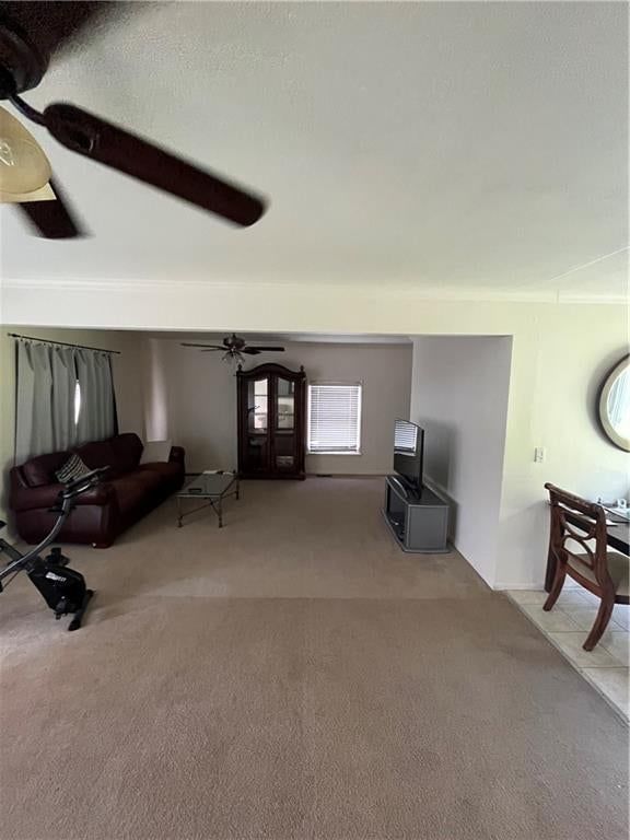 3407 N Osage Street — photo 5