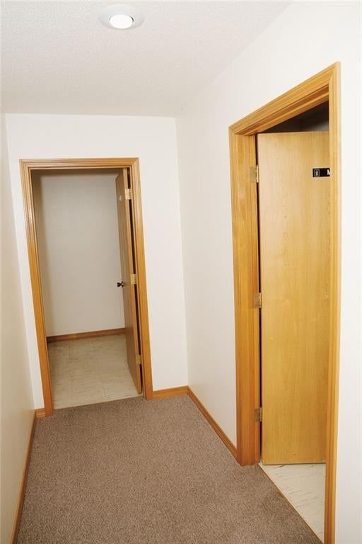 401 Washington Avenue — photo 13