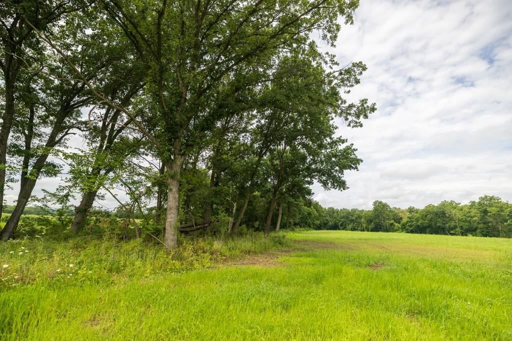 Photo 42 of 69 - NW 188th Street, Holt, MO 64048