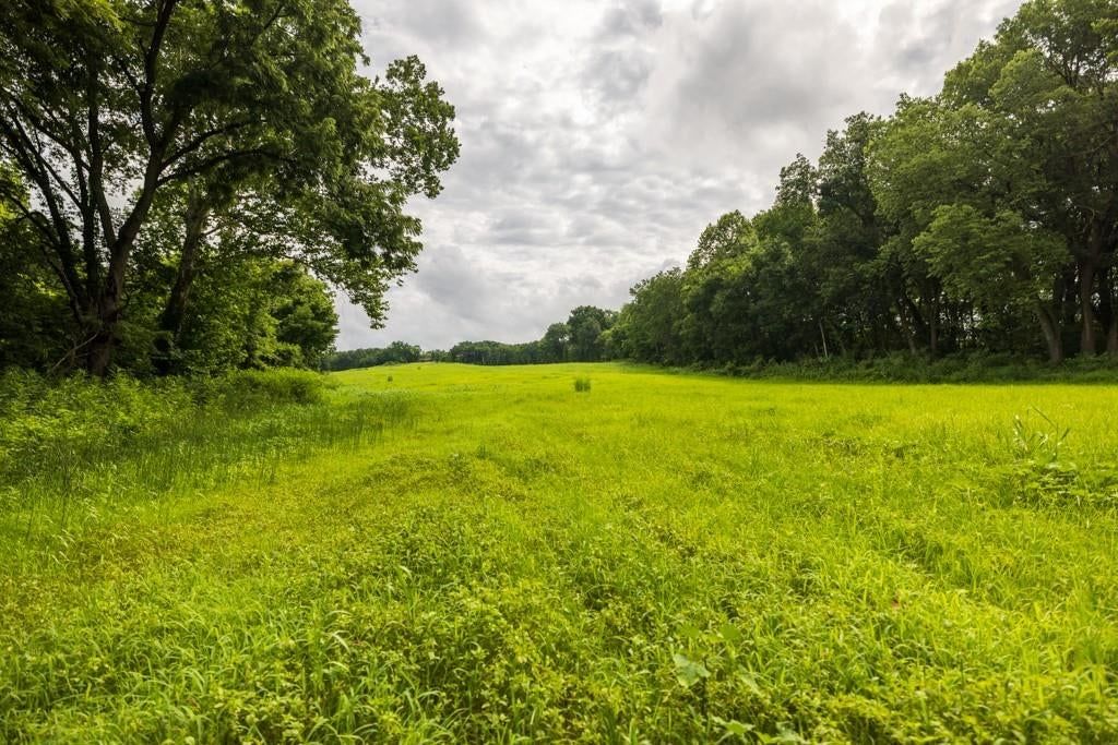 Photo 44 of 69 - NW 188th Street, Holt, MO 64048