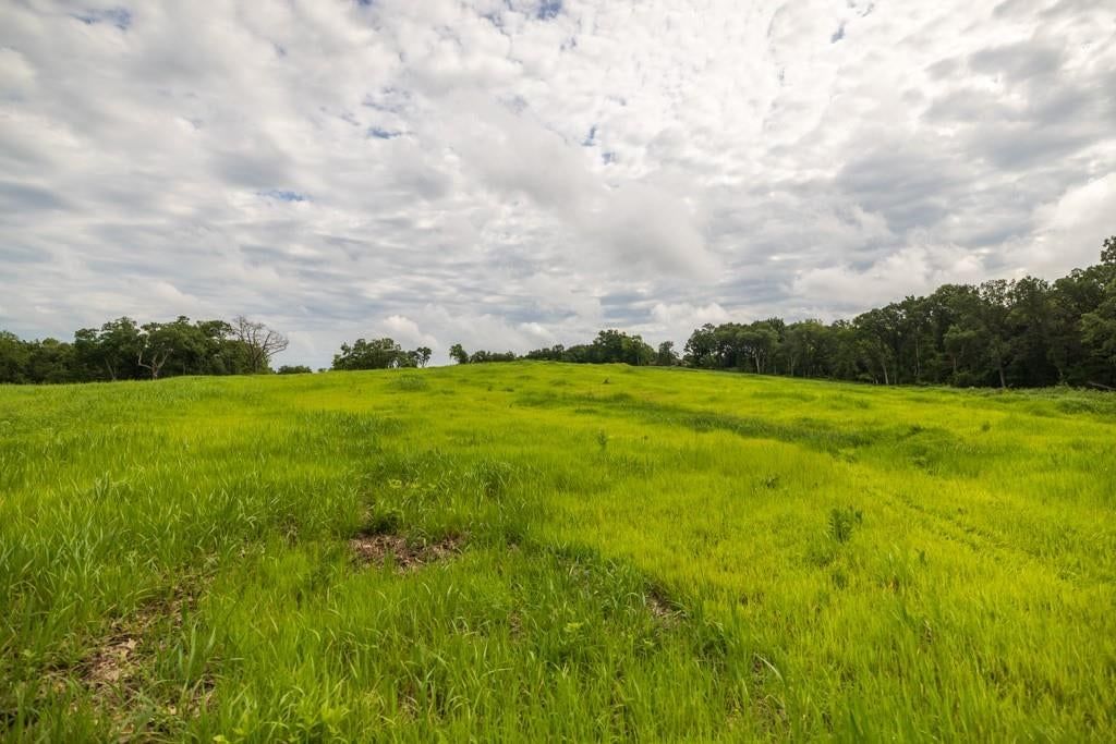Photo 46 of 69 - NW 188th Street, Holt, MO 64048