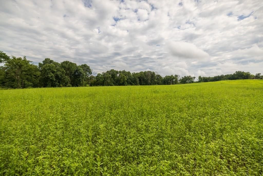 Photo 47 of 69 - NW 188th Street, Holt, MO 64048