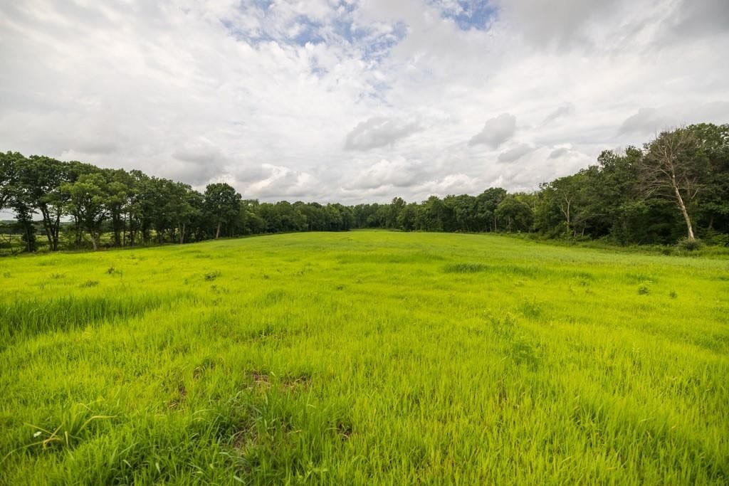 Photo 48 of 69 - NW 188th Street, Holt, MO 64048