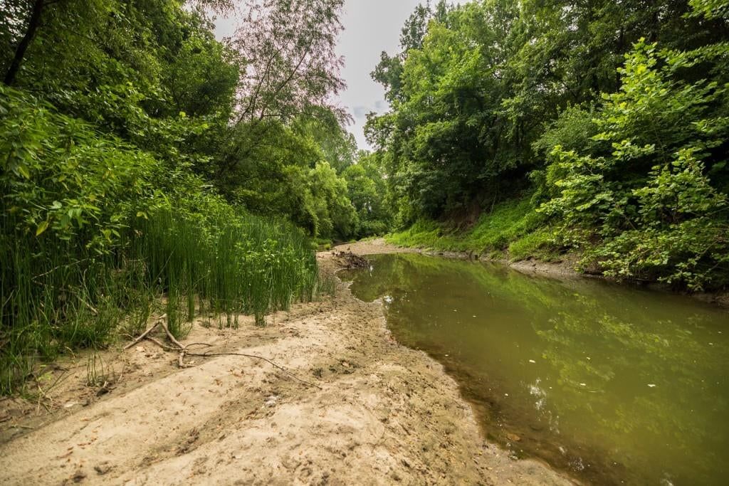 Photo 52 of 69 - NW 188th Street, Holt, MO 64048