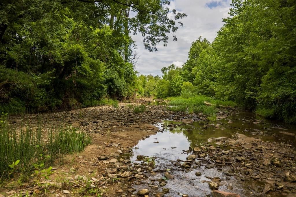Photo 54 of 69 - NW 188th Street, Holt, MO 64048