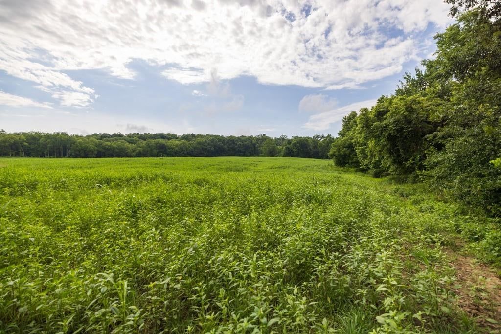 Photo 64 of 69 - NW 188th Street, Holt, MO 64048