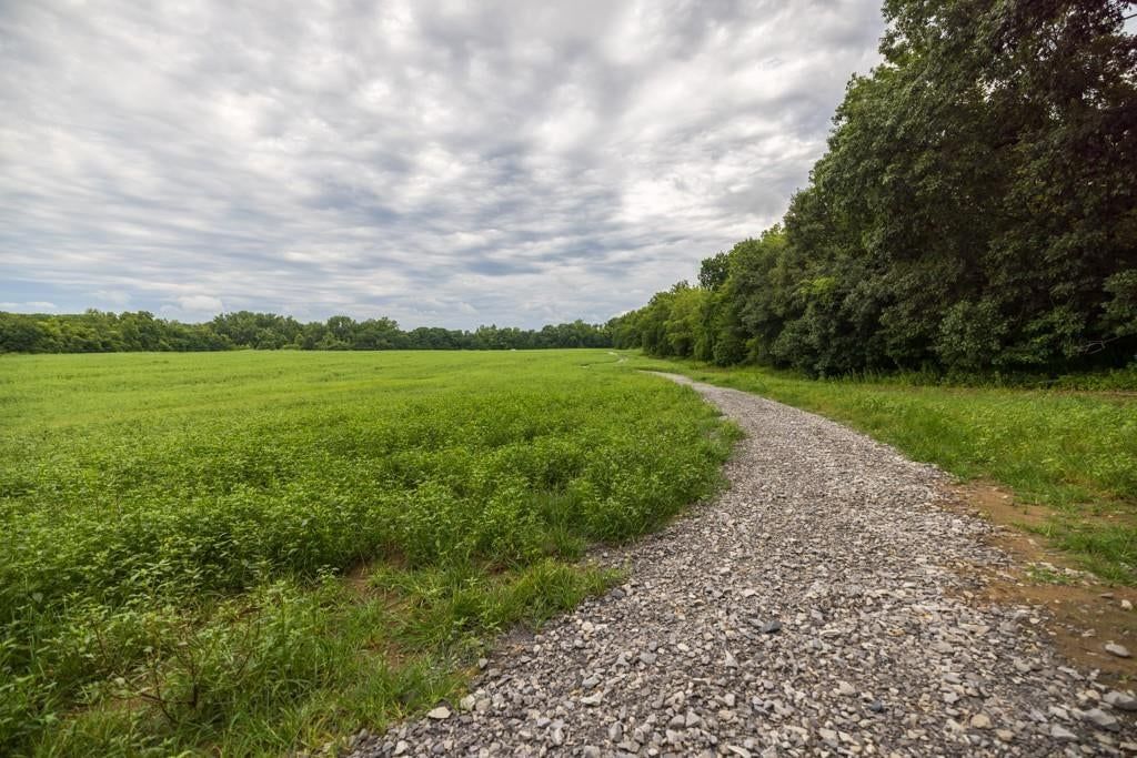 Photo 66 of 69 - NW 188th Street, Holt, MO 64048