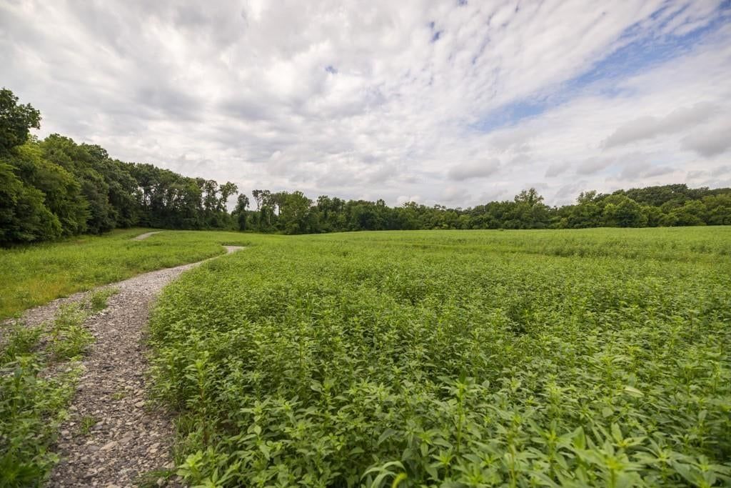 Photo 68 of 69 - NW 188th Street, Holt, MO 64048