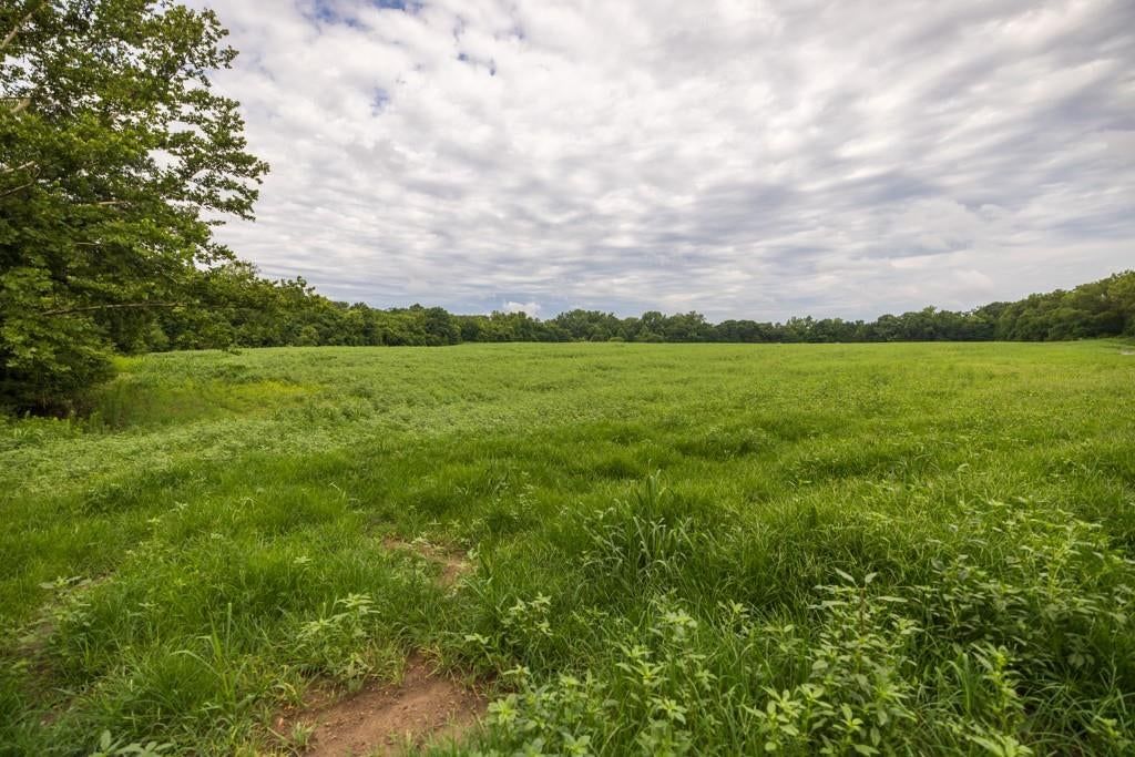 Photo 69 of 69 - NW 188th Street, Holt, MO 64048