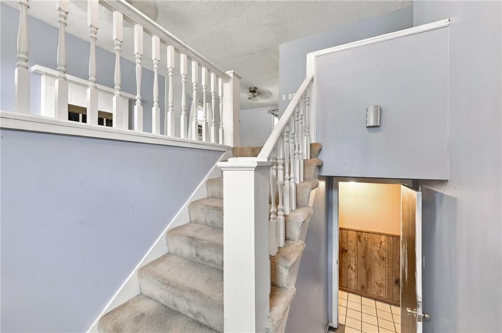 4831 Reeder Street — photo 25