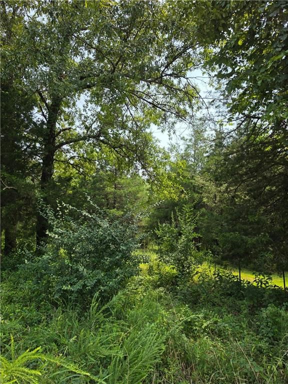 21868 Rosewood Drive — photo 24