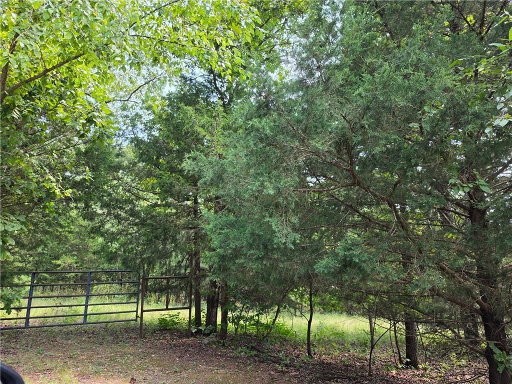 21868 Rosewood Drive — photo 26