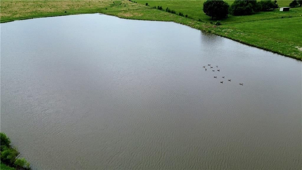 Moonlight (34+/- Acres) Road — photo 3