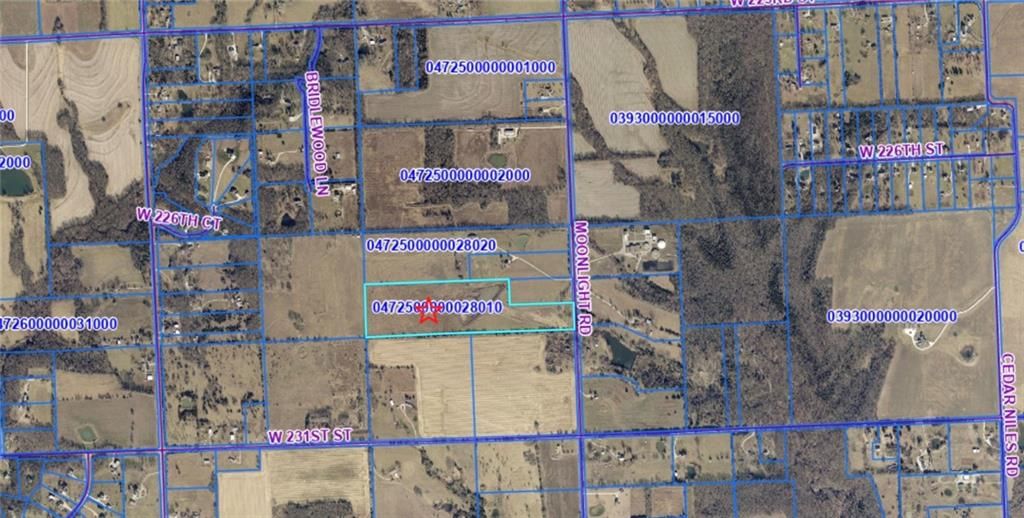 Moonlight (34+/- Acres) Road — photo 5