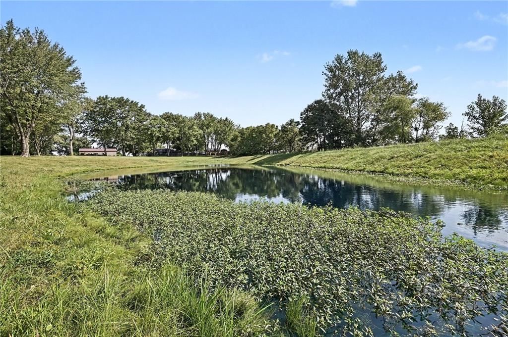 12223 Hills Road — photo 43