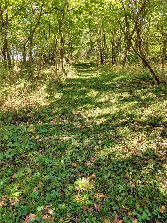 9560 NW Hillsboro Road, Kansas City, MO: listing photo 3