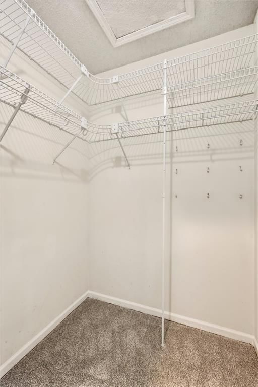 12001 S Rene Street — photo 19