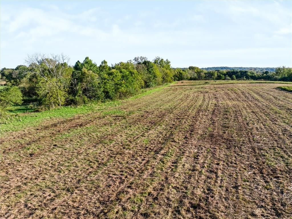 Photo 14 of 25 - 25243 Hemphill Road