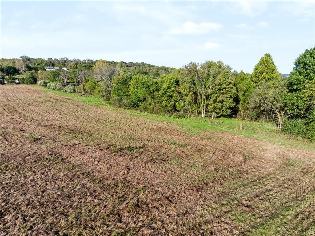 Photo 15 of 25 - 25243 Hemphill Road