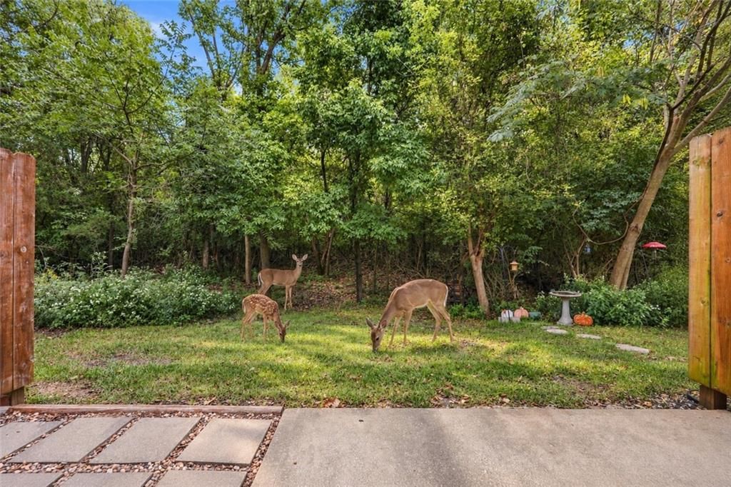 6003 NE Moonstone Drive — photo 22