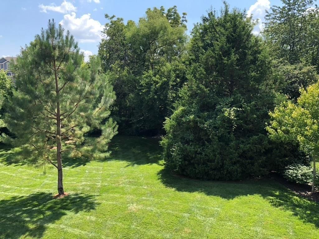 703 Willow Drive — photo 36