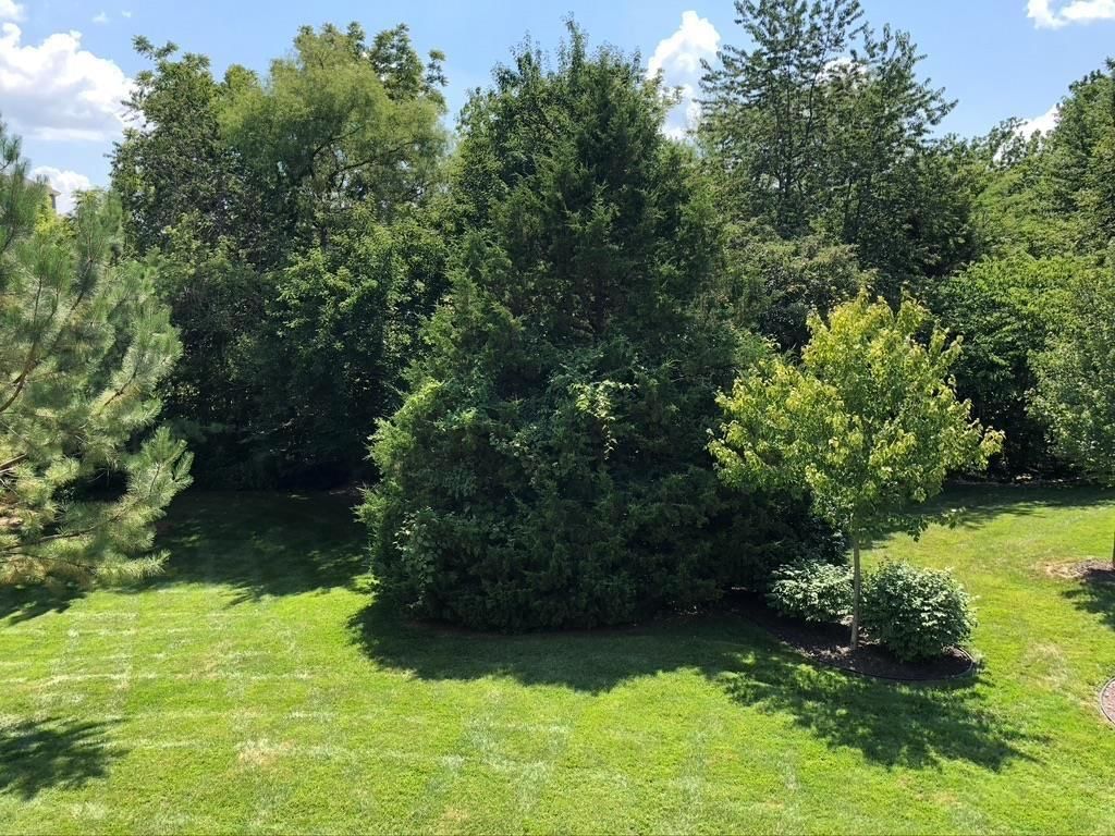 703 Willow Drive — photo 37