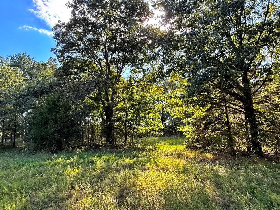 14188 S 3025 Road — photo 38