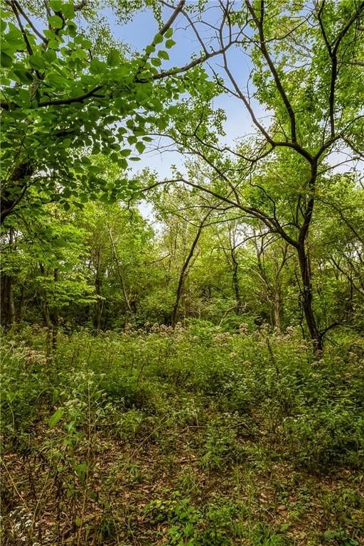 27300 E Orient Cemetery Road — photo 43