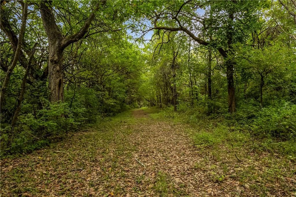 27300 E Orient Cemetery Road — photo 45