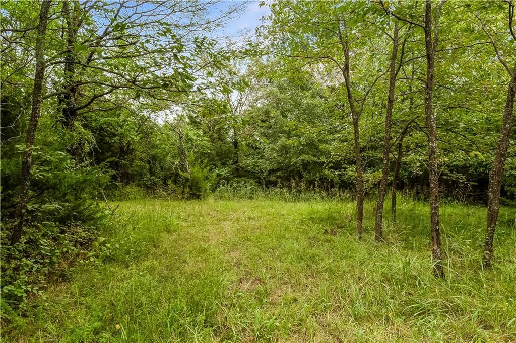 27300 E Orient Cemetery Road — photo 47