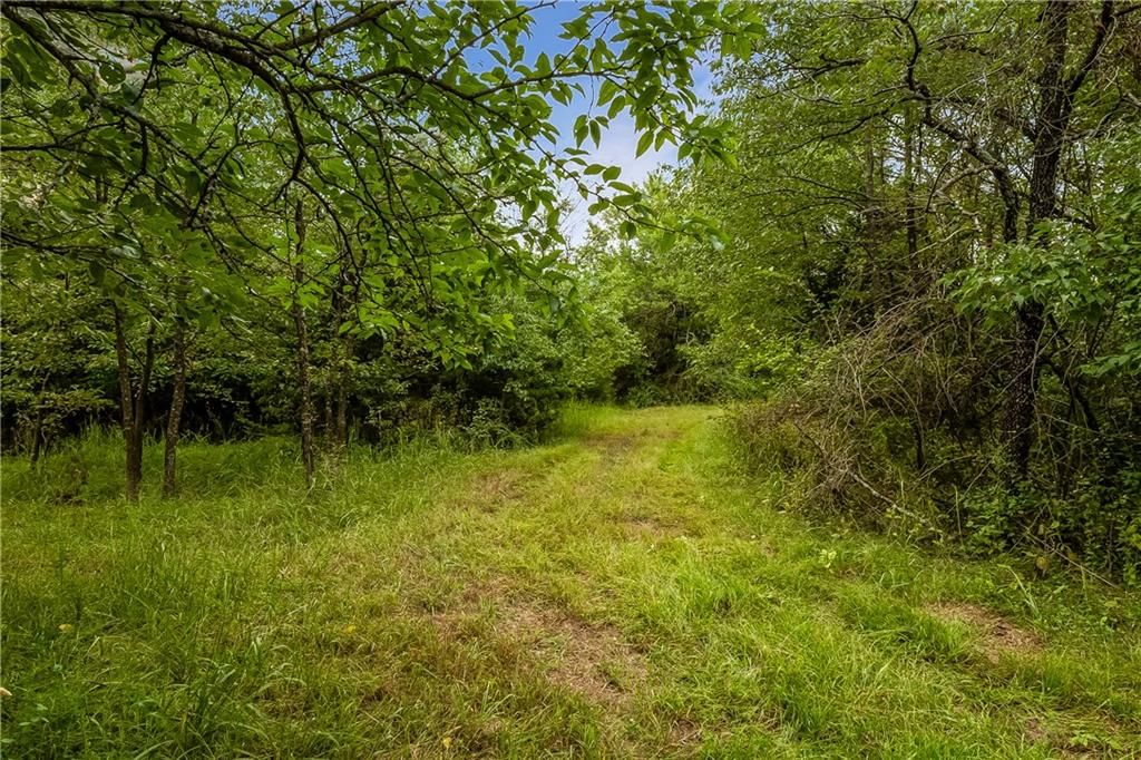 27300 E Orient Cemetery Road — photo 48